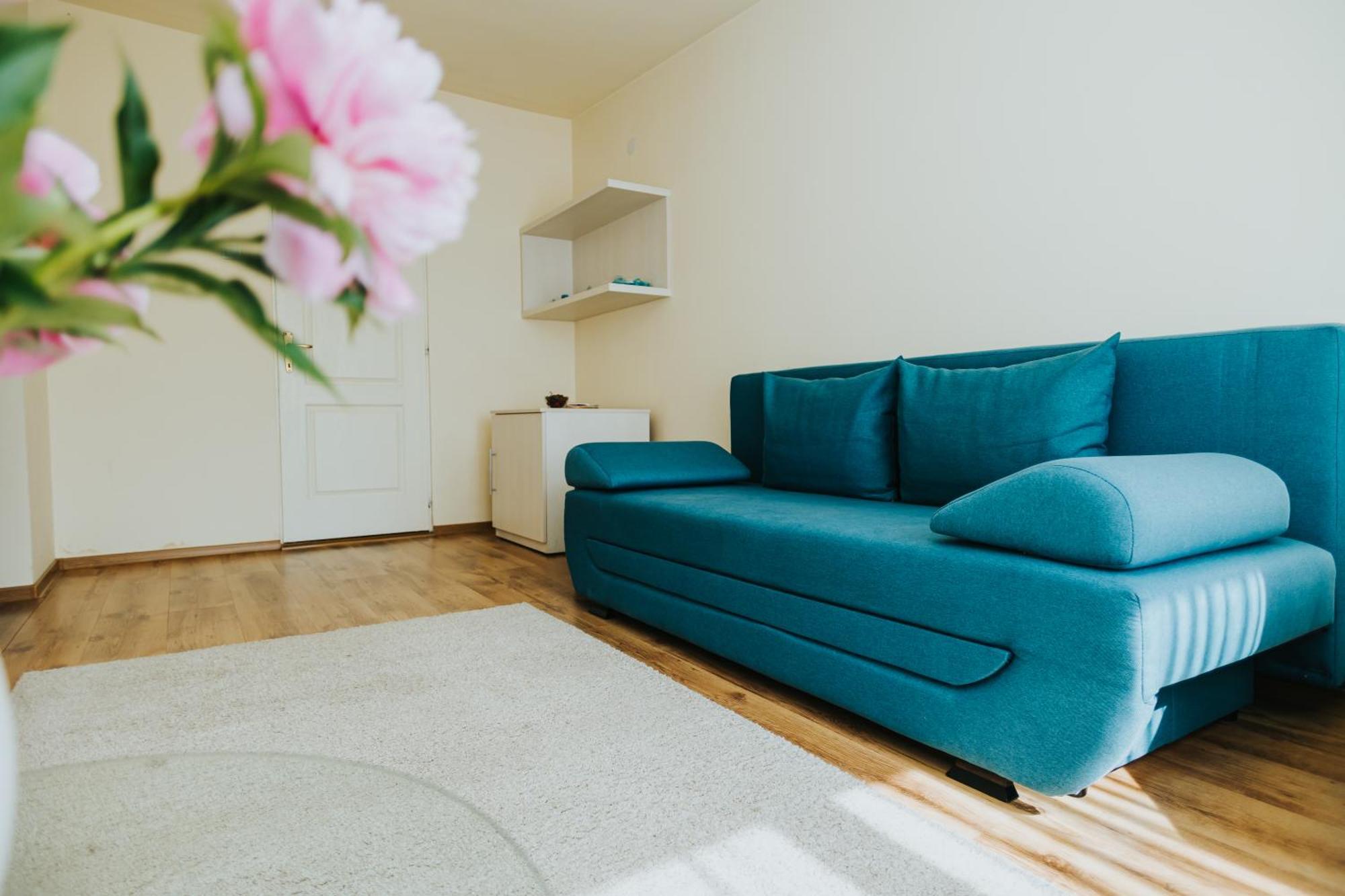 Camelia'S Cozy Place Baia Mare Exterior foto